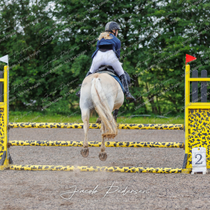 Nibe_Klasse_15-73