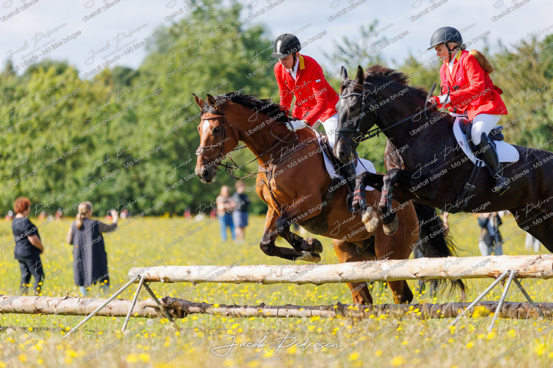 Begynderjagt_Sulsted_2024-1
