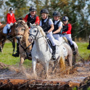 Begynderjagt_Sulsted_2024-126