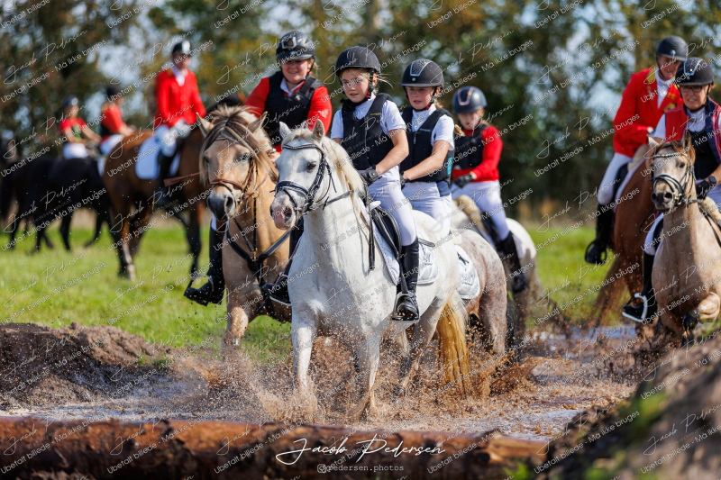 Begynderjagt_Sulsted_2024-126
