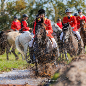 Begynderjagt_Sulsted_2024-154