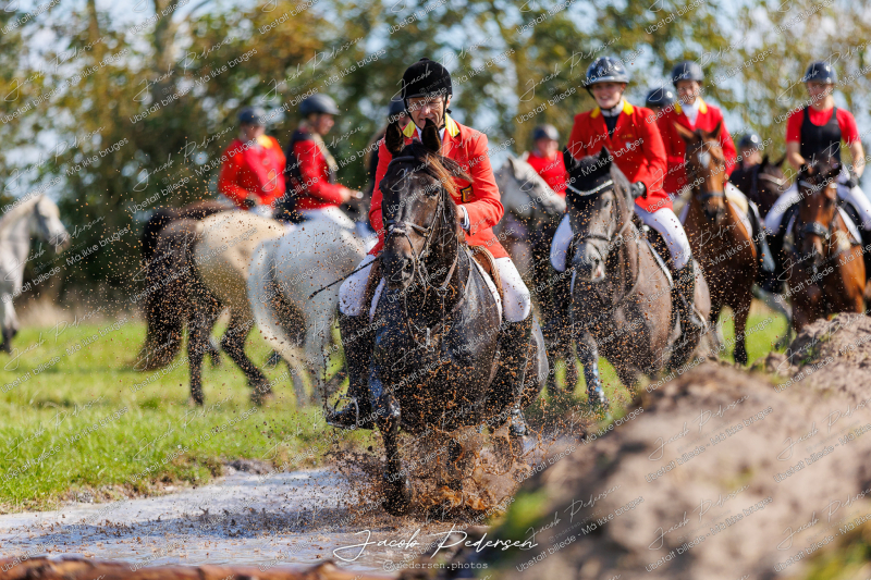 Begynderjagt_Sulsted_2024-154