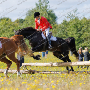 Begynderjagt_Sulsted_2024-3