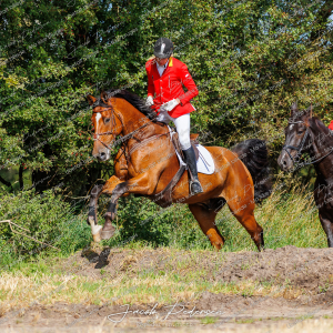Begynderjagt_Sulsted_2024-32