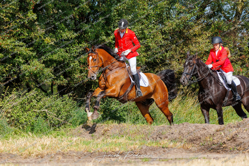 Begynderjagt_Sulsted_2024-32