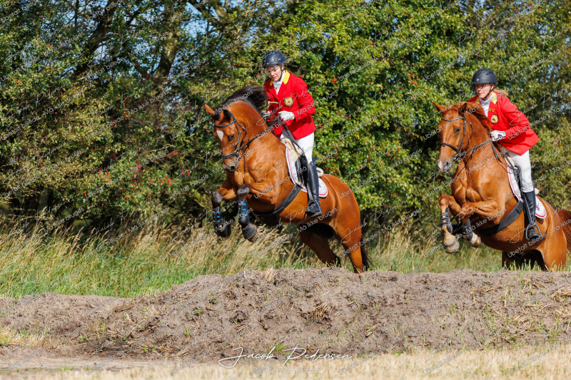 Begynderjagt_Sulsted_2024-34