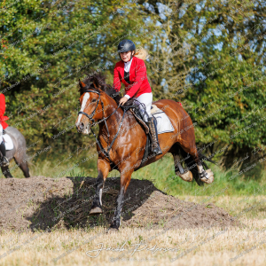 Begynderjagt_Sulsted_2024-36