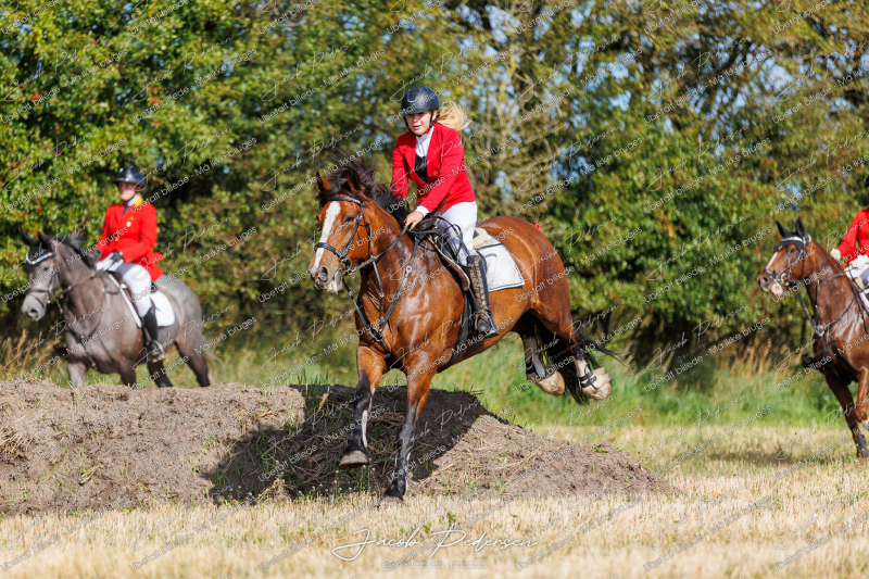 Begynderjagt_Sulsted_2024-36