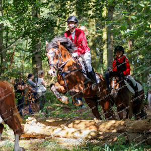 Begynderjagt_Sulsted_2024-53