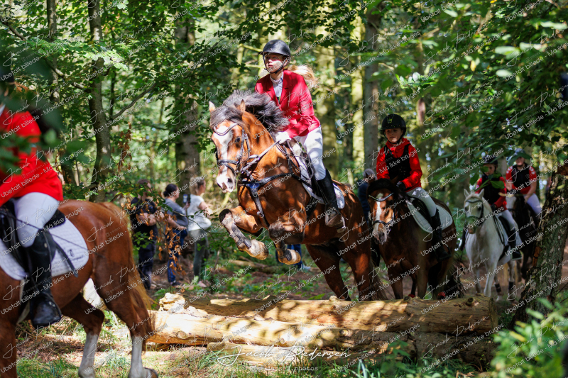 Begynderjagt_Sulsted_2024-53