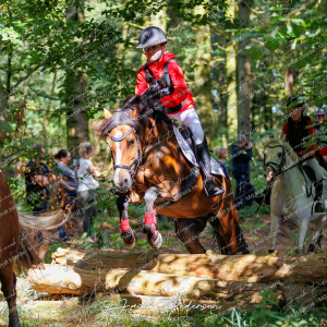 Begynderjagt_Sulsted_2024-54