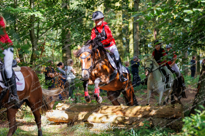 Begynderjagt_Sulsted_2024-54