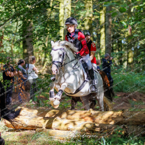 Begynderjagt_Sulsted_2024-55