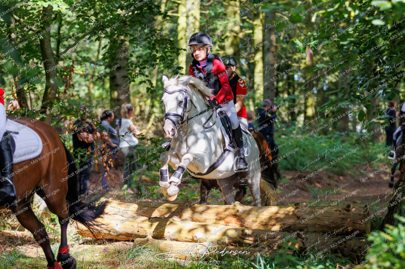 Begynderjagt_Sulsted_2024-55