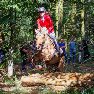 Begynderjagt_Sulsted_2024-56