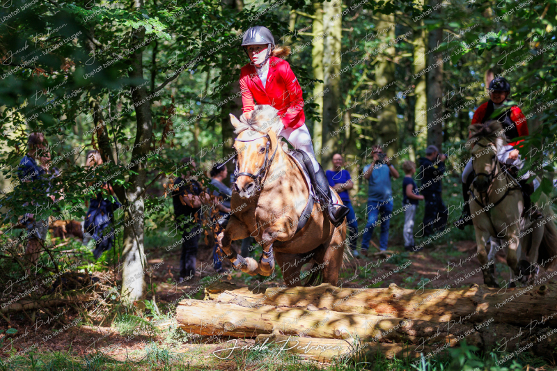 Begynderjagt_Sulsted_2024-56