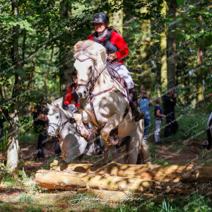 Begynderjagt_Sulsted_2024-57
