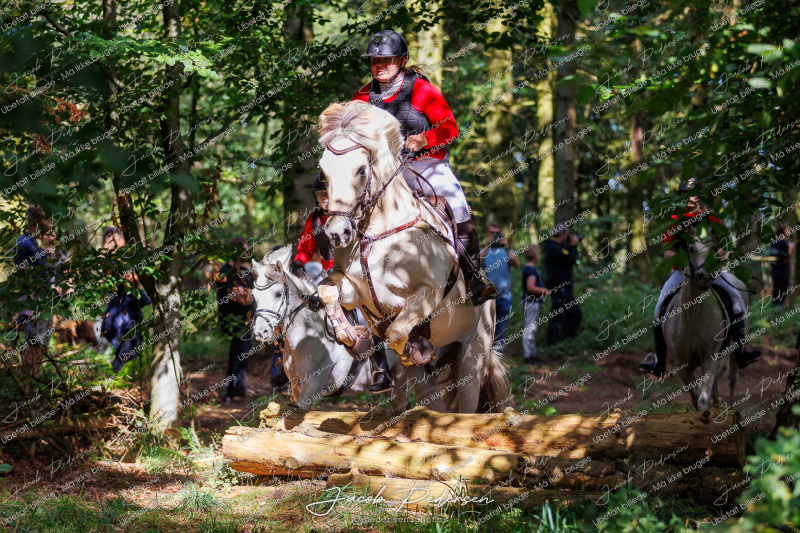 Begynderjagt_Sulsted_2024-57