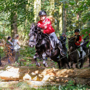 Begynderjagt_Sulsted_2024-59