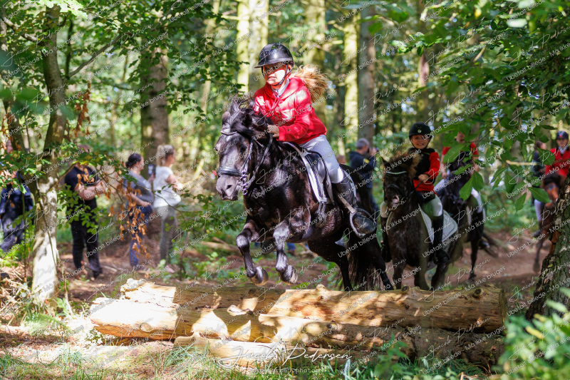 Begynderjagt_Sulsted_2024-59