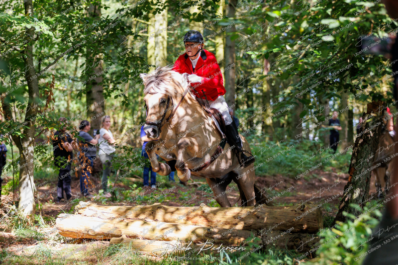 Begynderjagt_Sulsted_2024-62