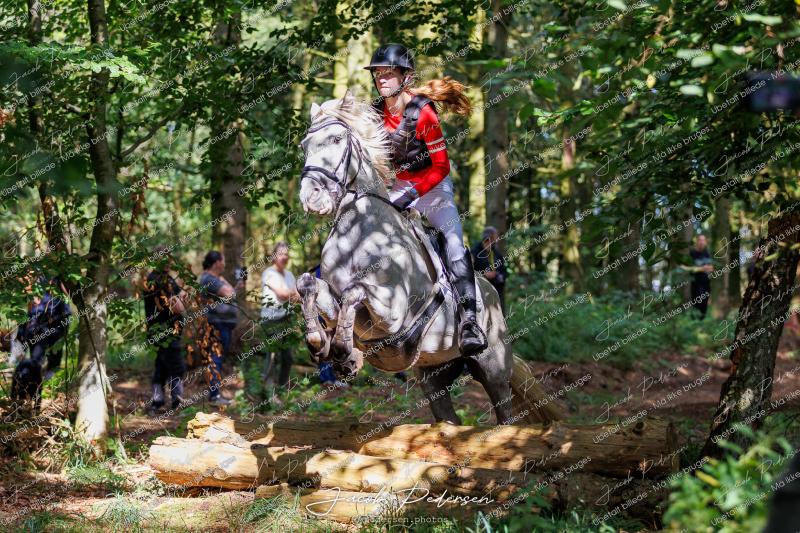 Begynderjagt_Sulsted_2024-64