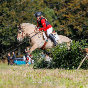 Begynderjagt_Sulsted_2024-97