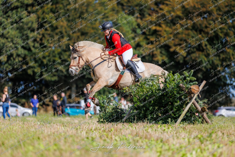 Begynderjagt_Sulsted_2024-97