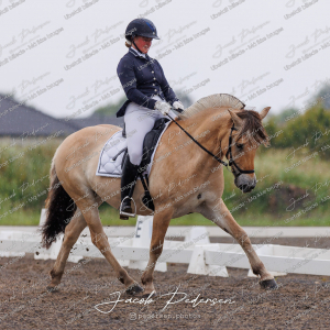 Nibe_Klasse_10-10