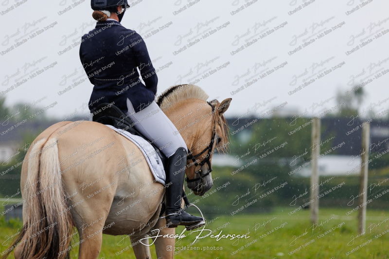 Nibe_Klasse_10-11