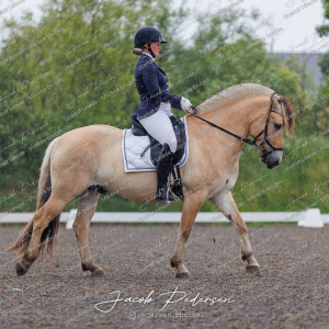 Nibe_Klasse_10-12
