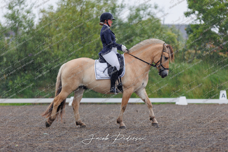 Nibe_Klasse_10-12
