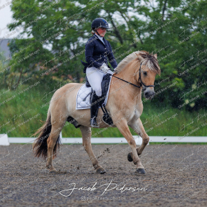 Nibe_Klasse_10-14
