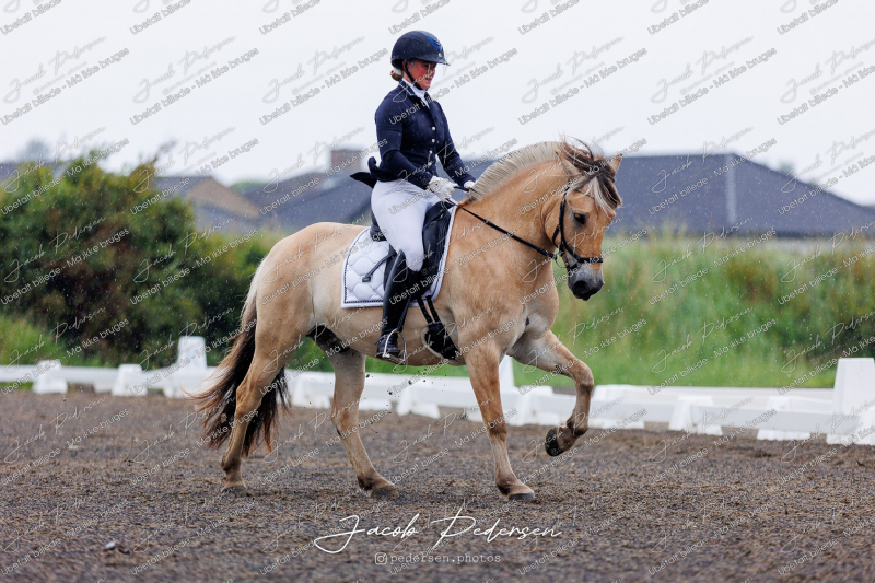 Nibe_Klasse_10-15