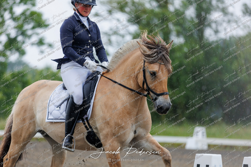 Nibe_Klasse_10-16