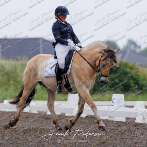 Nibe_Klasse_10-9