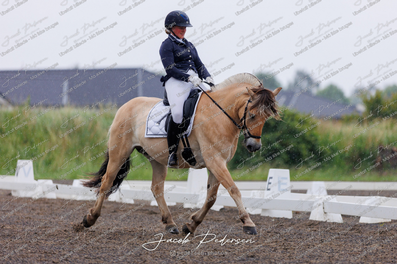Nibe_Klasse_10-9