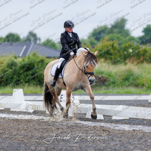 Nibe_Klasse_13_JM_Senior_Dressur-1
