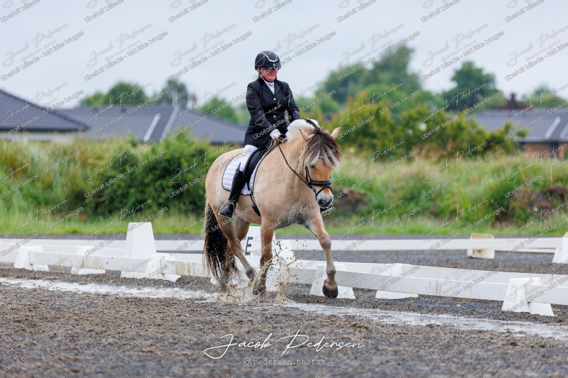 Nibe_Klasse_13_JM_Senior_Dressur-1