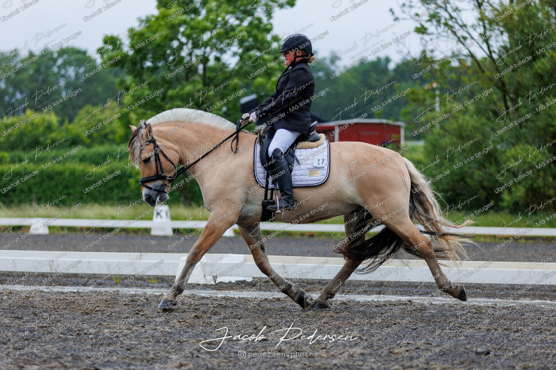Nibe_Klasse_13_JM_Senior_Dressur-10