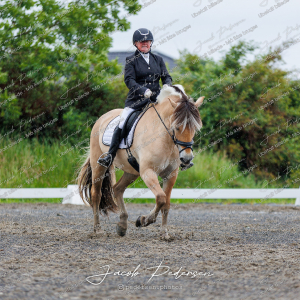 Nibe_Klasse_13_JM_Senior_Dressur-11