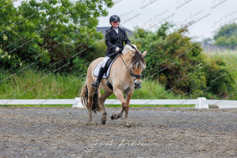 Nibe_Klasse_13_JM_Senior_Dressur-11