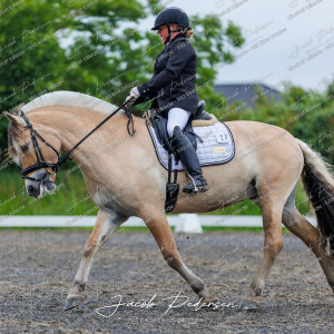 Nibe_Klasse_13_JM_Senior_Dressur-12