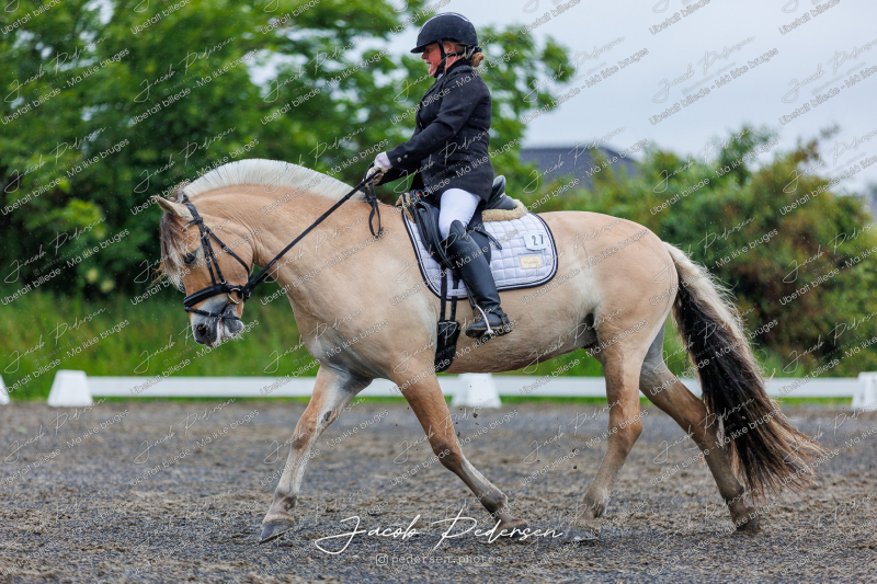 Nibe_Klasse_13_JM_Senior_Dressur-12
