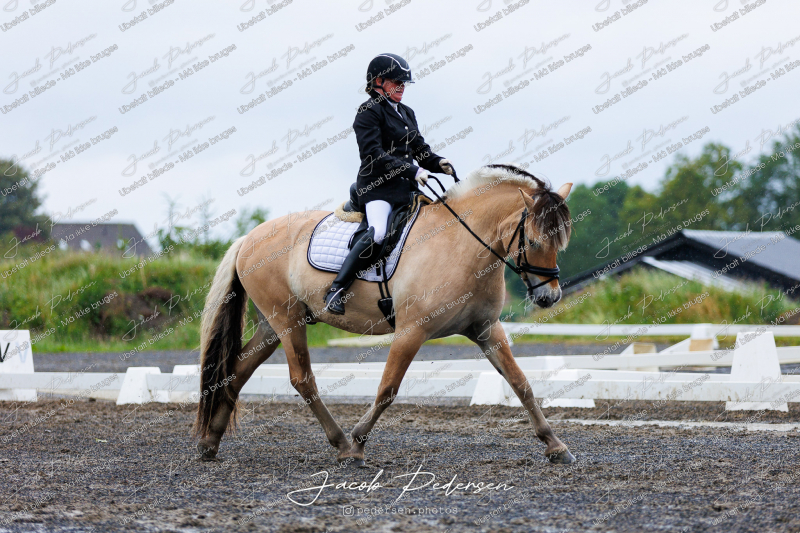 Nibe_Klasse_13_JM_Senior_Dressur-13