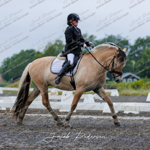 Nibe_Klasse_13_JM_Senior_Dressur-14