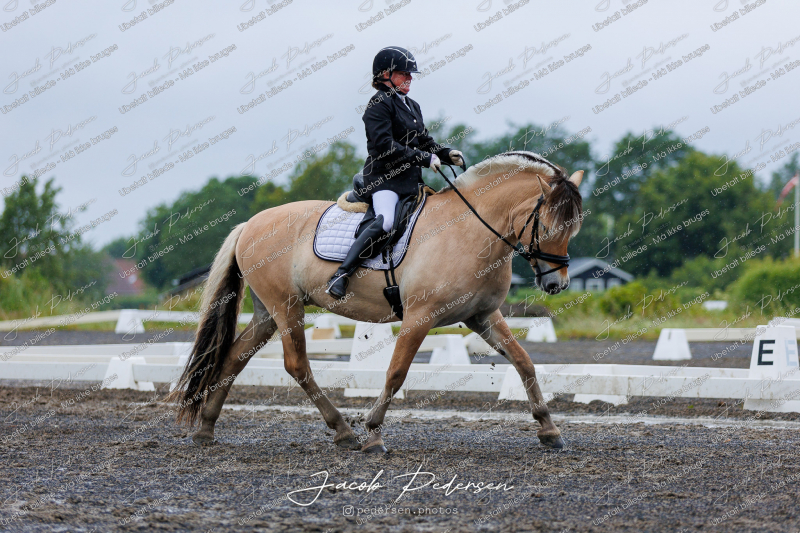Nibe_Klasse_13_JM_Senior_Dressur-14