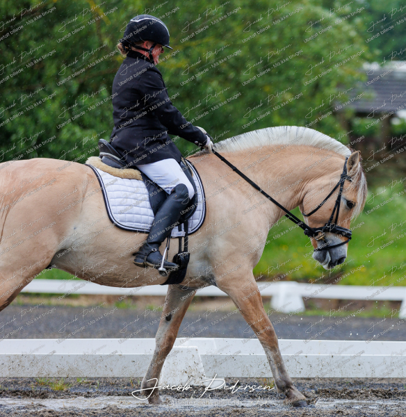 Nibe_Klasse_13_JM_Senior_Dressur-15