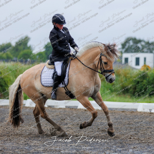 Nibe_Klasse_13_JM_Senior_Dressur-16