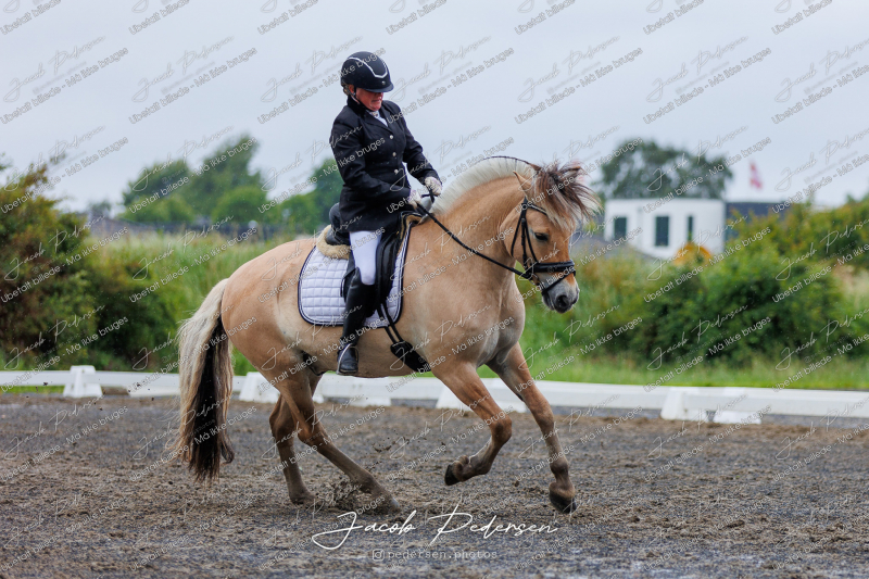 Nibe_Klasse_13_JM_Senior_Dressur-16